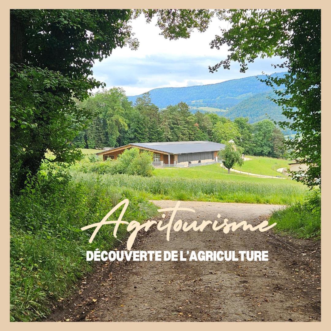 La Ferme Du Solvat Appartement Courcelon Buitenkant foto